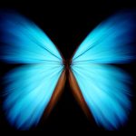 Butterfly Effect Nedir?