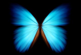 Butterfly Effect Nedir?