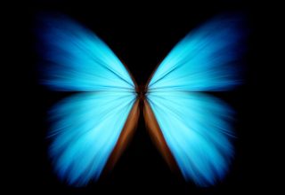 Butterfly Effect Nedir?