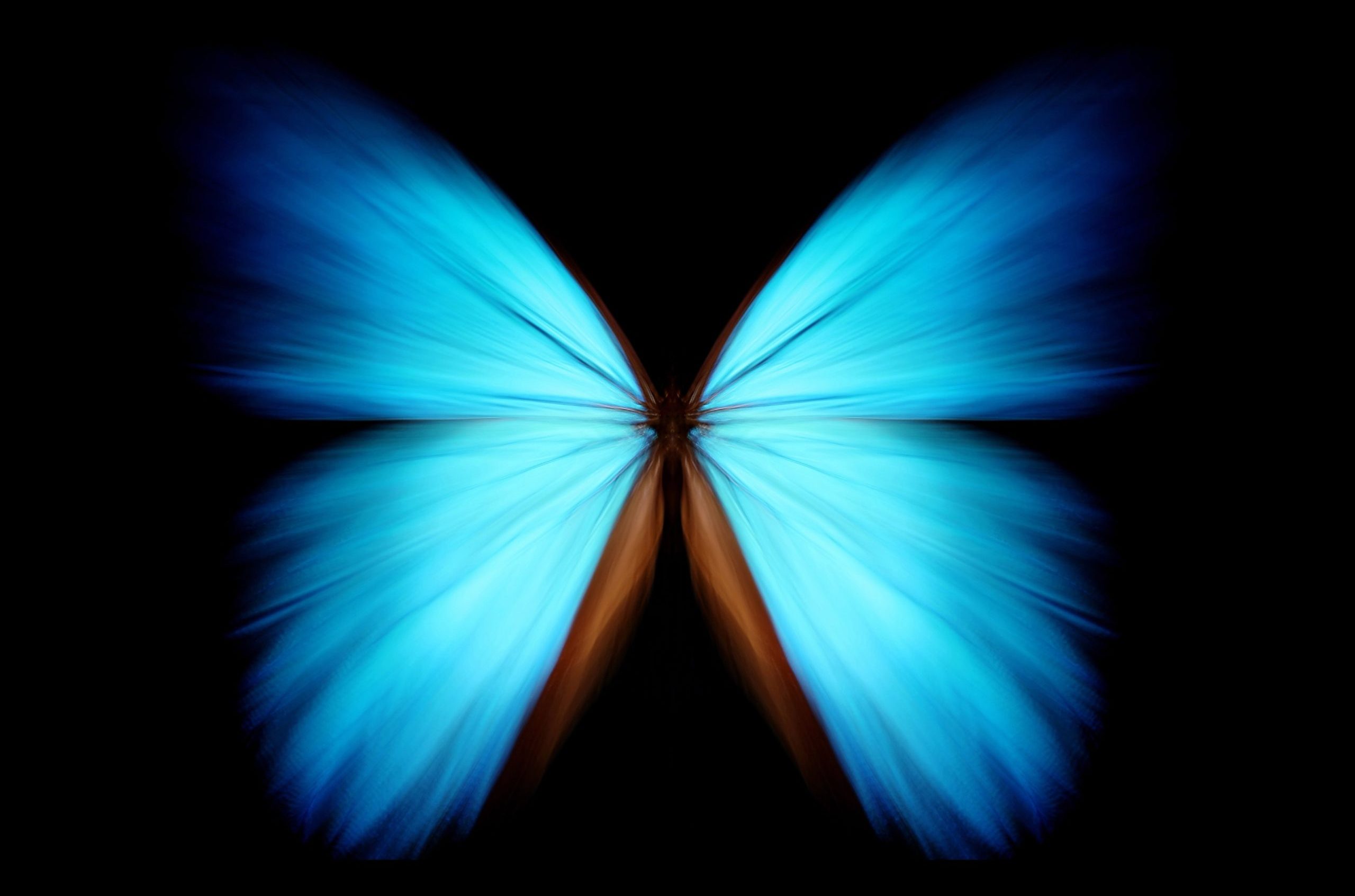 Bir kelebeğin Amazon Ormanları'nda kanat çırpması, Amerika'da fırtına kopmasına neden olabilir! Peki bu ne anlama geliyor?